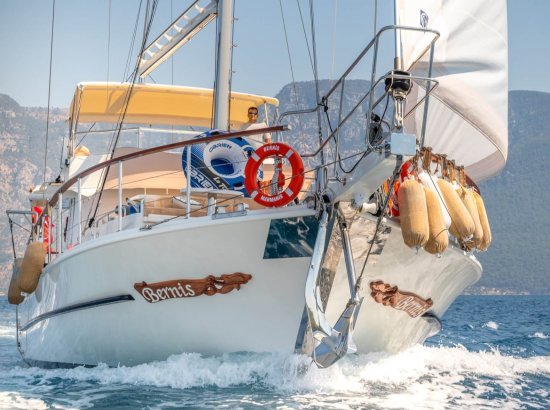 Bernis charter