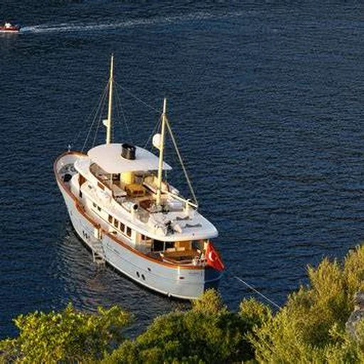 Yener Tekne Shiraz