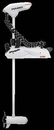 HAIBO İPENGUIN SANAL ÇAPA 12 V 70 Lbs 72"