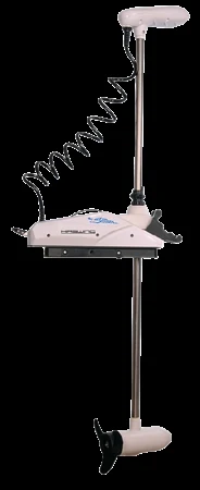 HASWING CAYMAN SANAL ÇAPA 12 V 55 Lbs 60"